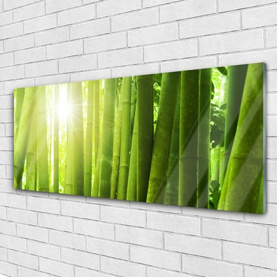 Cuadro de vidrio Bambú planta