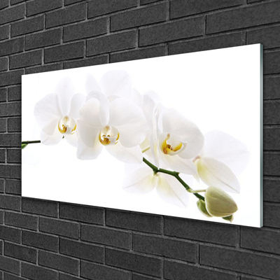 Cuadro de vidrio Flores orquídea