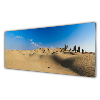 Cuadro de vidrio Desierto paisaje arena