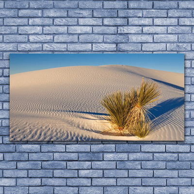 Cuadro de vidrio Desierto paisaje arena