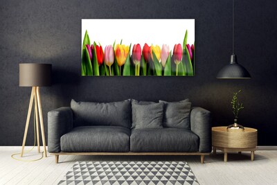 Cuadro de vidrio Tulipanes flora