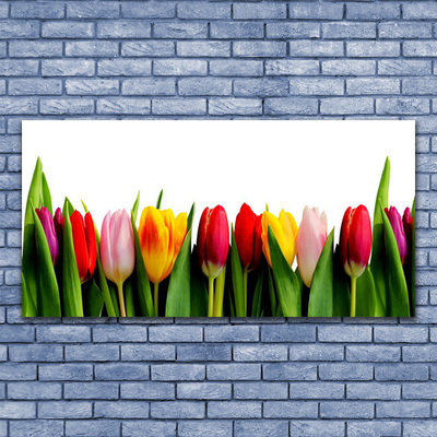Cuadro de vidrio Tulipanes flora