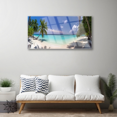 Cuadro de vidrio Mar playa palmera paisaje