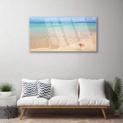 Cuadro de vidrio Playa estrella de mar paisaje
