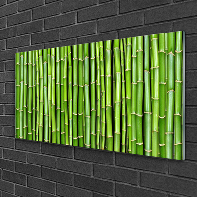 Cuadro de vidrio Bambú flor planta