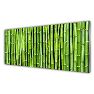 Cuadro de vidrio Bambú flor planta