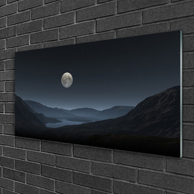 Cuadro de vidrio Noche luna paisaje