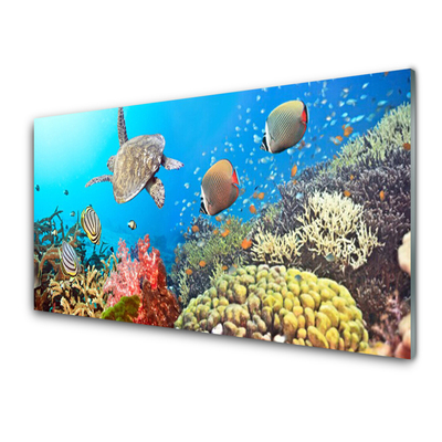 Cuadro de vidrio Arrecife paisaje