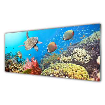 Cuadro de vidrio Arrecife paisaje