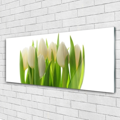 Cuadro de vidrio Tulipanes planta naturaleza
