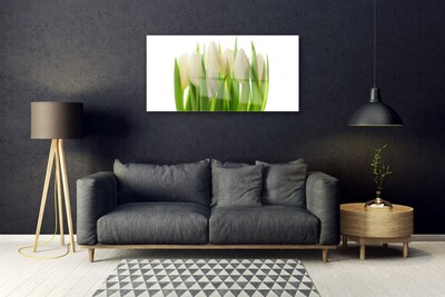 Cuadro de vidrio Tulipanes planta naturaleza