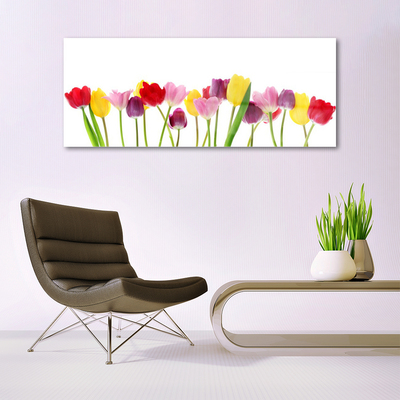 Cuadro de vidrio Tulipanes flores planta