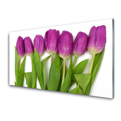 Cuadro de vidrio Tulipanes flores planta
