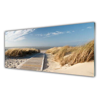 Cuadro de vidrio Playa camino paisaje