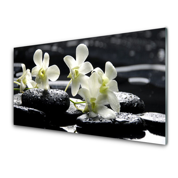Cuadro de vidrio Orquídea piedras planta
