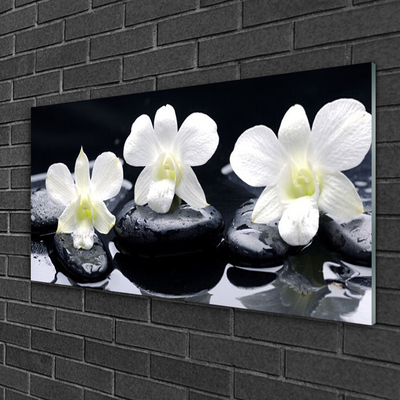 Cuadro de vidrio Orquídea piedras planta