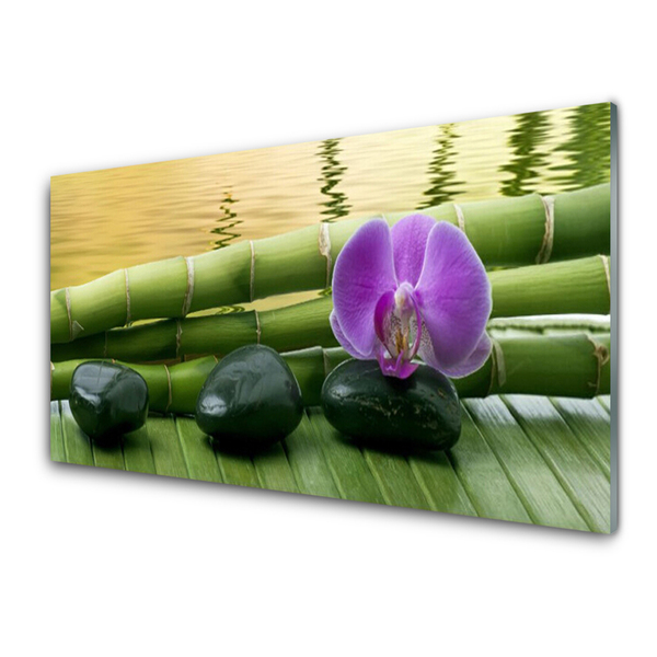 Cuadro de vidrio Flor piedras bambú naturaleza