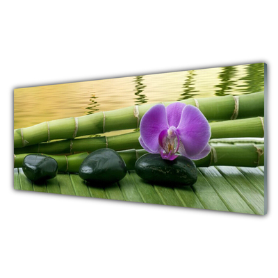 Cuadro de vidrio Flor piedras bambú naturaleza