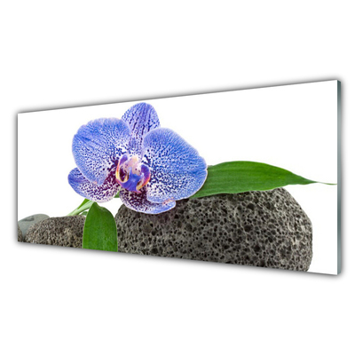 Cuadro de vidrio Flor planta naturaleza