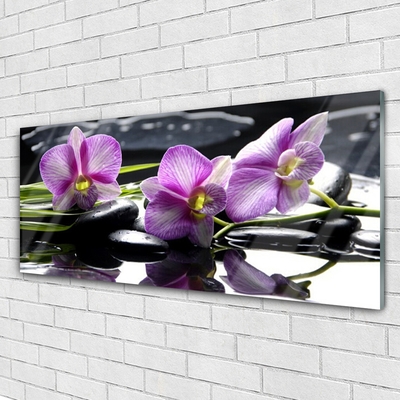 Cuadro de vidrio Flor orquídea planta