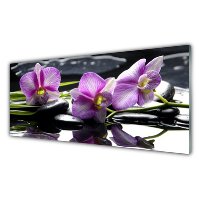 Cuadro de vidrio Flor orquídea planta