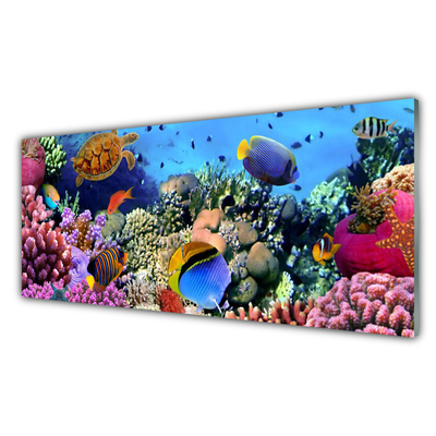 Cuadro de vidrio Arrecife naturaleza