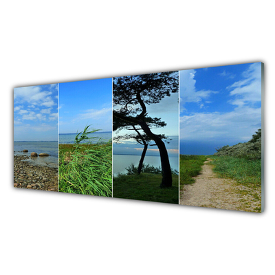 Cuadro de vidrio Playa árbol paisaje