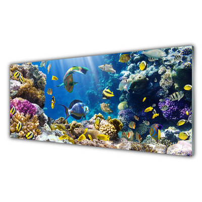 Cuadro de vidrio Arrecife naturaleza