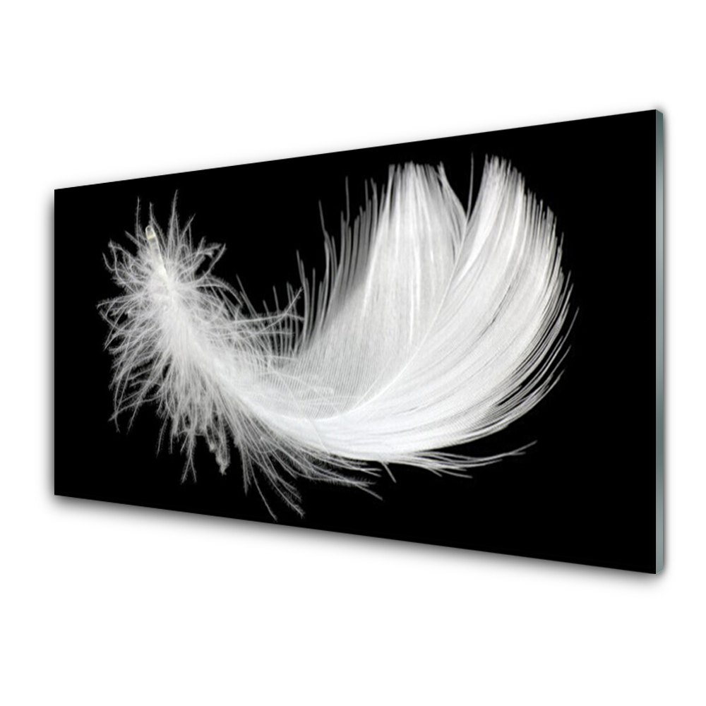 Cuadro de vidrio Pluma arte