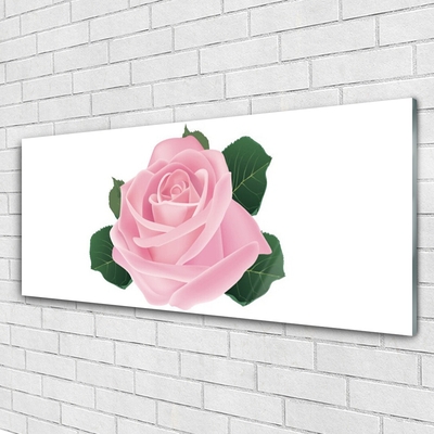 Cuadro de vidrio Rosa flor planta naturaleza