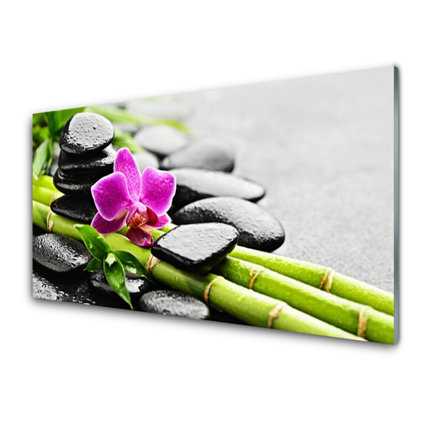 Cuadro de vidrio Bambú flor piedras arte