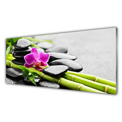Cuadro de vidrio Bambú flor piedras arte