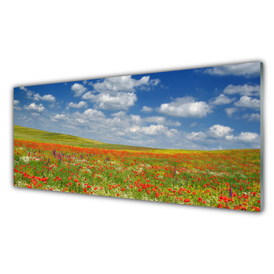 Cuadro de vidrio Prado flores paisaje