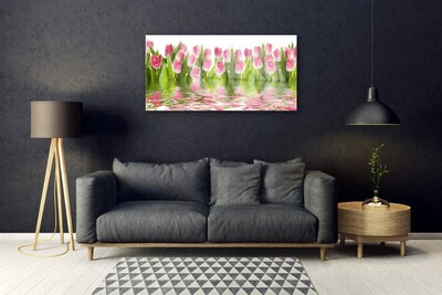 Cuadro en vidrio Tulipanes planta naturaleza