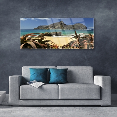 Cuadro en vidrio Playa mar roca paisaje