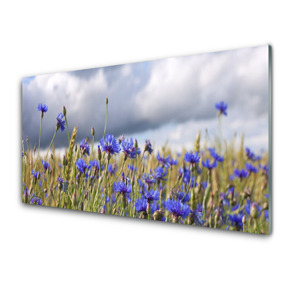 Cuadro en vidrio Flores planta naturaleza
