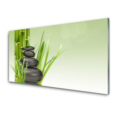 Cuadro en vidrio Bambú hierba planta naturaleza