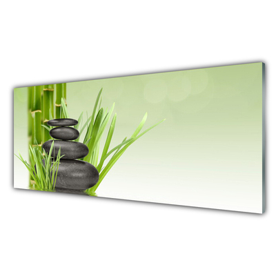 Cuadro en vidrio Bambú hierba planta naturaleza
