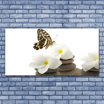 Cuadro en vidrio Mariposa flor piedras planta