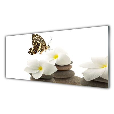 Cuadro en vidrio Mariposa flor piedras planta