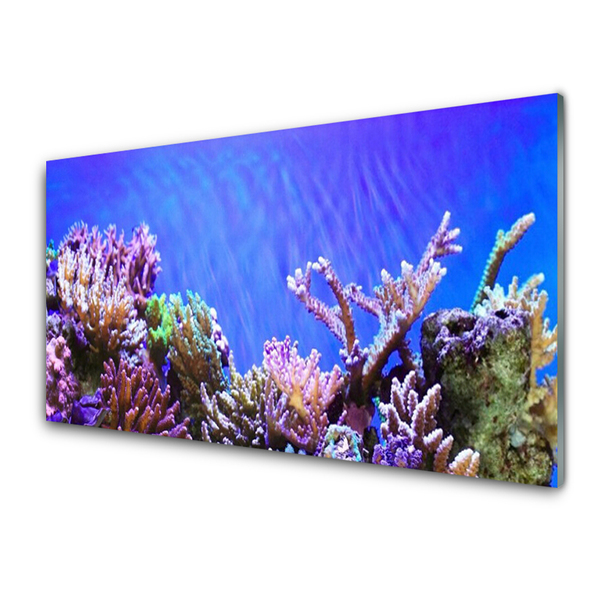 Cuadro en vidrio Arrecife naturaleza