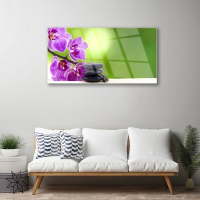 Cuadro en vidrio Orquideas verde flores