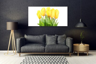 Cuadro en vidrio Tulipanes flores planta