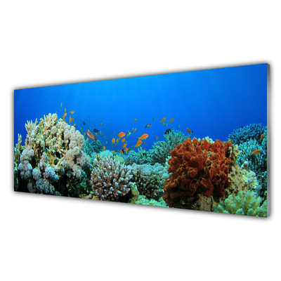 Cuadro en vidrio Arrecife naturaleza