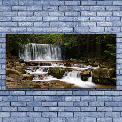 Cuadro en vidrio Salto del agua bosque naturaleza