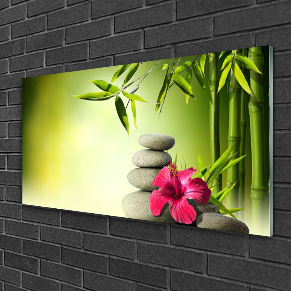 Vidrios Decorativos 150x100cm Cuadro Sobre Vidrio Moderno Planta