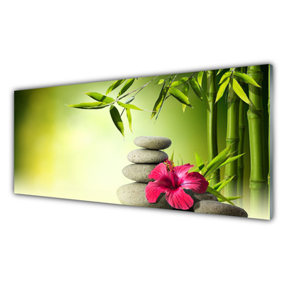 Cuadro en vidrio Bambú flor piedras zen