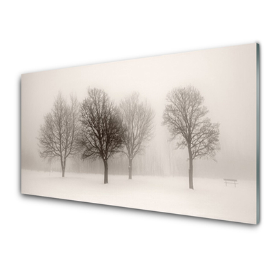 Cuadro en vidrio Nieve árboles paisaje