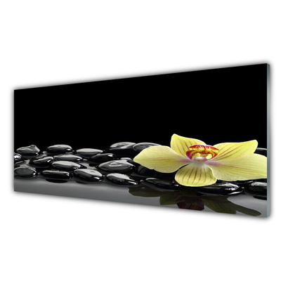 Cuadro en vidrio Flor cocina negro