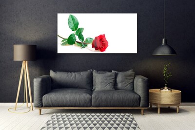 Cuadro en vidrio Rosa flor planta naturaleza